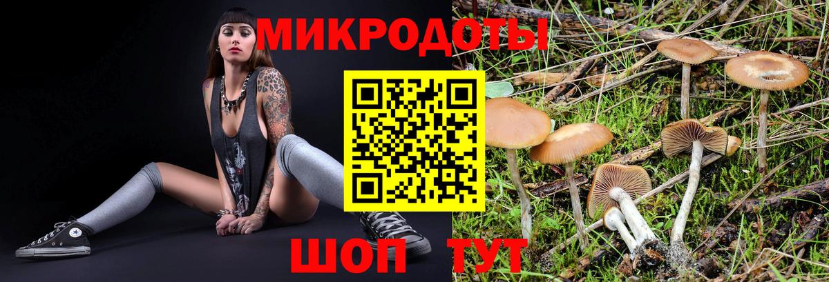 Малоярославец  Галлюциногенные грибы Psilocybe  Галлюциногенные грибы GOLDEN TEACHER  Вход с VPN 